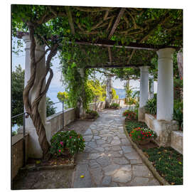 Aluminium print Garden of Villa San Michele on the island of Capri