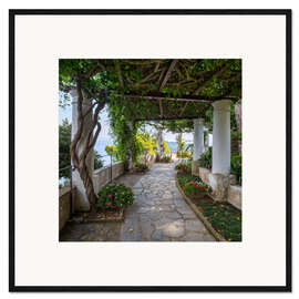 Kunsttryk i ramme Garden of Villa San Michele on the island of Capri