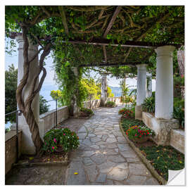 Vinilo para la pared Garden of Villa San Michele on the island of Capri