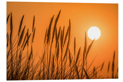 Foam board print Sunset in the dunes on Sylt