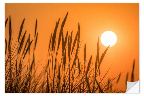 Sticker mural Sunset in the dunes on Sylt