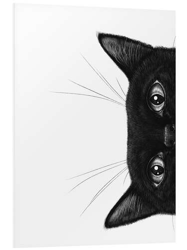 Foam board print Black cat II