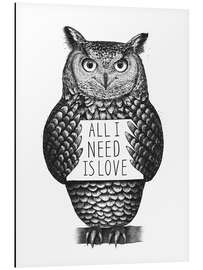 Cuadro de aluminio Owl with love