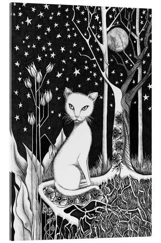 Akrylbillede White Cat and Starry Night