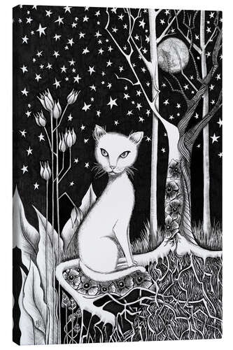 Canvas print White Cat and Starry Night