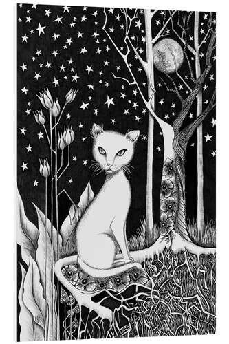 Tableau en PVC White Cat and Starry Night