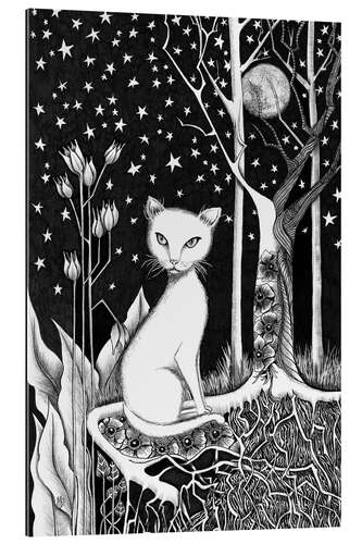 Gallery Print Weiße Katze und Sternennacht