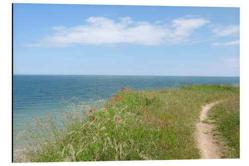 Quadro em alumínio Baltic Sea view in spring