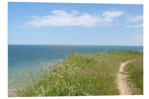 Foam board print Baltic Sea view in spring