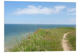 Foam board print Baltic Sea view in spring