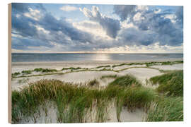 Hout print Stormy weather on dune beach