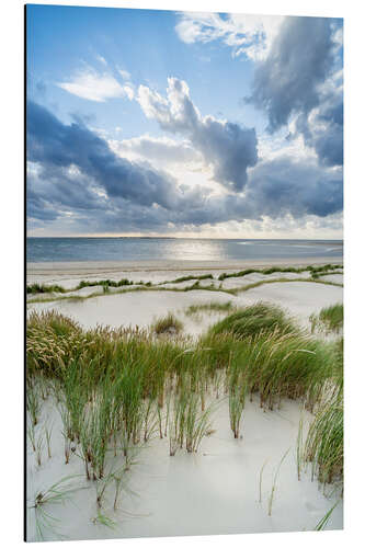 Aluminium print Dunes on the beach in stormy weather