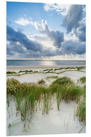 Foam board print Dunes on the beach in stormy weather