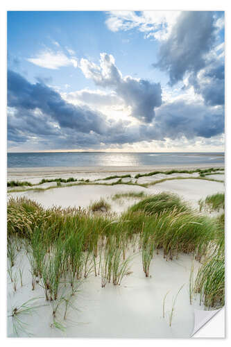 Naklejka na ścianę Dunes on the beach in stormy weather