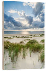 Hout print Dunes on the beach in stormy weather