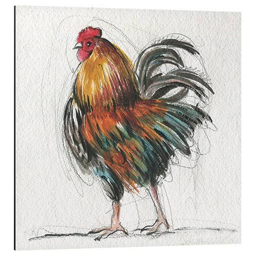 Aluminium print Rooster