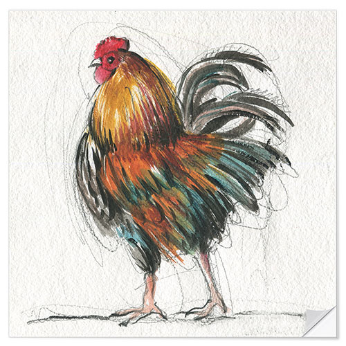 Selvklebende plakat Rooster