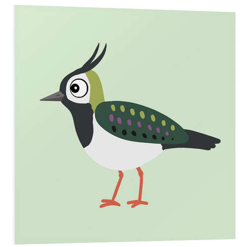 Quadro em PVC Lapwing