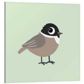 Magnettafel Nonnenmeise