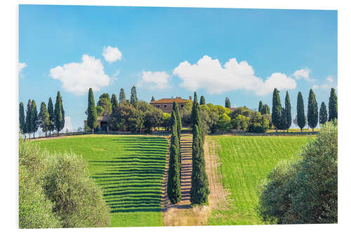 Foam board print Tuscany Countryside