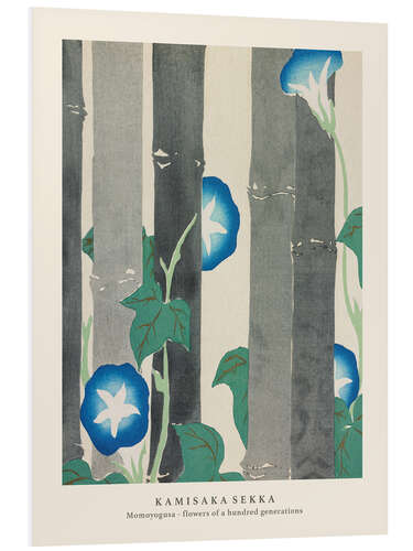 PVC print Morning Glories, Flowers of a Hundred Generations (Momoyogusa)