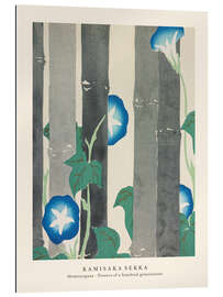 Gallery print Morning Glories, Flowers of a Hundred Generations (Momoyogusa)