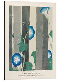 Magnettafel Morning Glories, Flowers of a Hundred Generations (Momoyogusa)