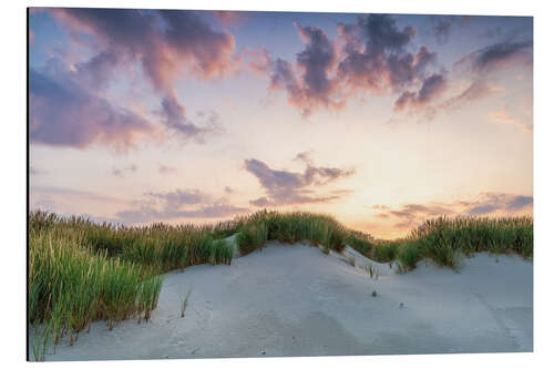 Aluminiumtavla Sunset behind the dunes