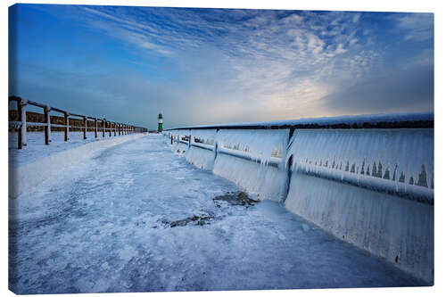 Canvas print Frozen Coast