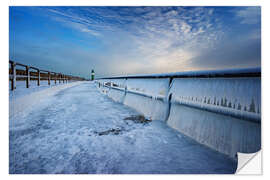 Naklejka na ścianę Frozen Coast