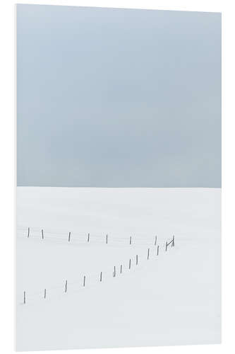 Foam board print Fence in the snow