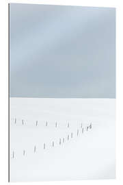 Galleriprint Fence in the snow