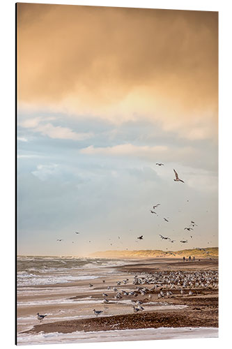 Alumiinitaulu Seagulls on the beach