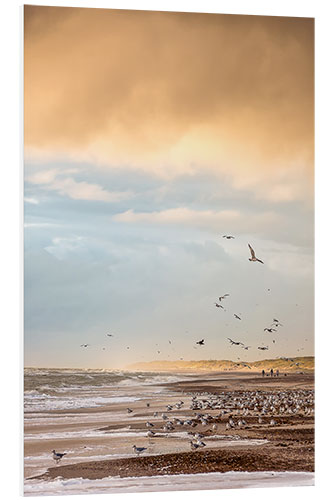 Foam board print Seagulls on the beach