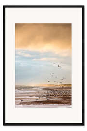 Gerahmter Kunstdruck Möwen am Strand