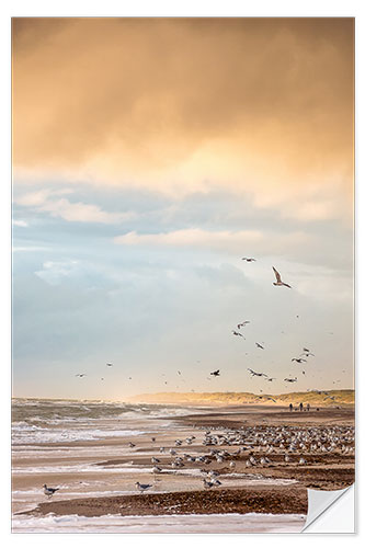 Selvklæbende plakat Seagulls on the beach