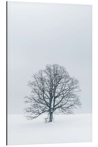 Stampa su alluminio Tree in the snow