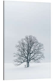 Tableau en aluminium Tree in the snow