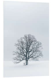 Foam board print Tree in the snow