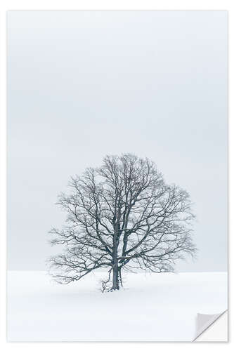 Vinilo para la pared Tree in the snow