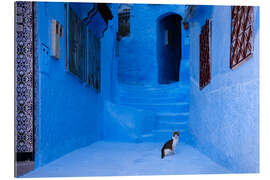 Gallery print Cat at the blue city, Morocco