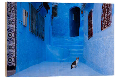 Cuadro de madera Cat at the blue city, Morocco