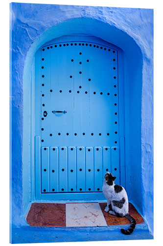 Obraz na szkle akrylowym Blue door and cat, Chefchaouen, Morocco