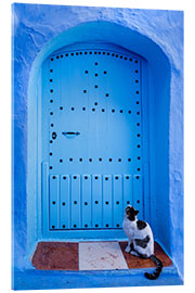 Akrylglastavla Blue door and cat, Chefchaouen, Morocco