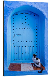 Aluminiumsbilde Blue door and cat, Chefchaouen, Morocco