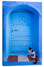 Lærredsbillede Blue door and cat, Chefchaouen, Morocco