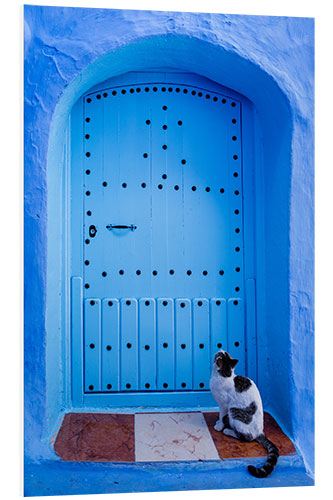 Bilde på skumplate Blue door and cat, Chefchaouen, Morocco