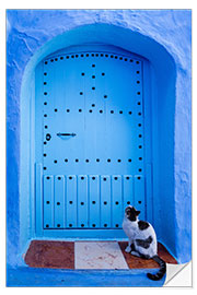 Selvklebende plakat Blue door and cat, Chefchaouen, Morocco