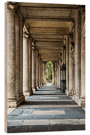 Puutaulu Colonnade, Capitoline hill, Rome