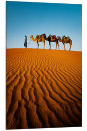 Cuadro de aluminio Tuareg with camels, Morocco